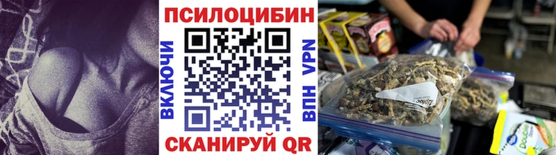 Псилоцибиновые грибы Psilocybe  Уржум 